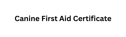 Canine First Aid Certificate